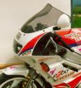 FZR 600, 91-93